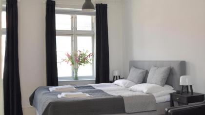 Spacious Three-bedroom Apartment in the Iconic Historical Part of Copenhagen - image 1