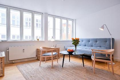 Fantastic apartment in the heart of Copenhagen - image 4