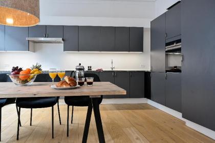 Modern 3-bedroom luxury apartment in the heart of Copenhagen - image 12