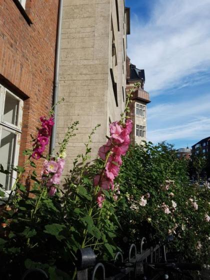 Aaboulevard Apartment - image 8