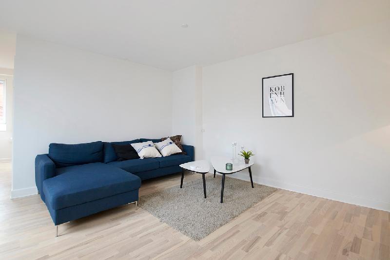 Bright and modern apartment with a rooftop terrace in the center of Copenhagen - main image