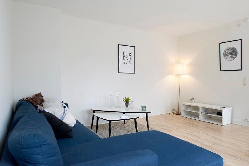 Bright and modern apartment with a rooftop terrace in the center of Copenhagen - image 3